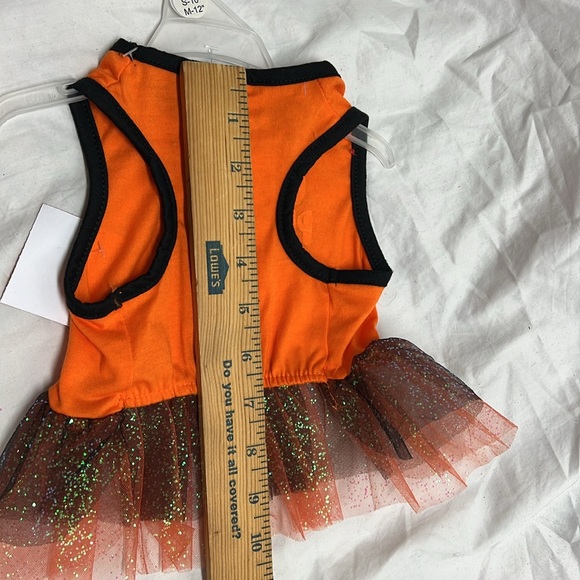 Cutest pumpkin in the patch outfit - Picture 5 of 6